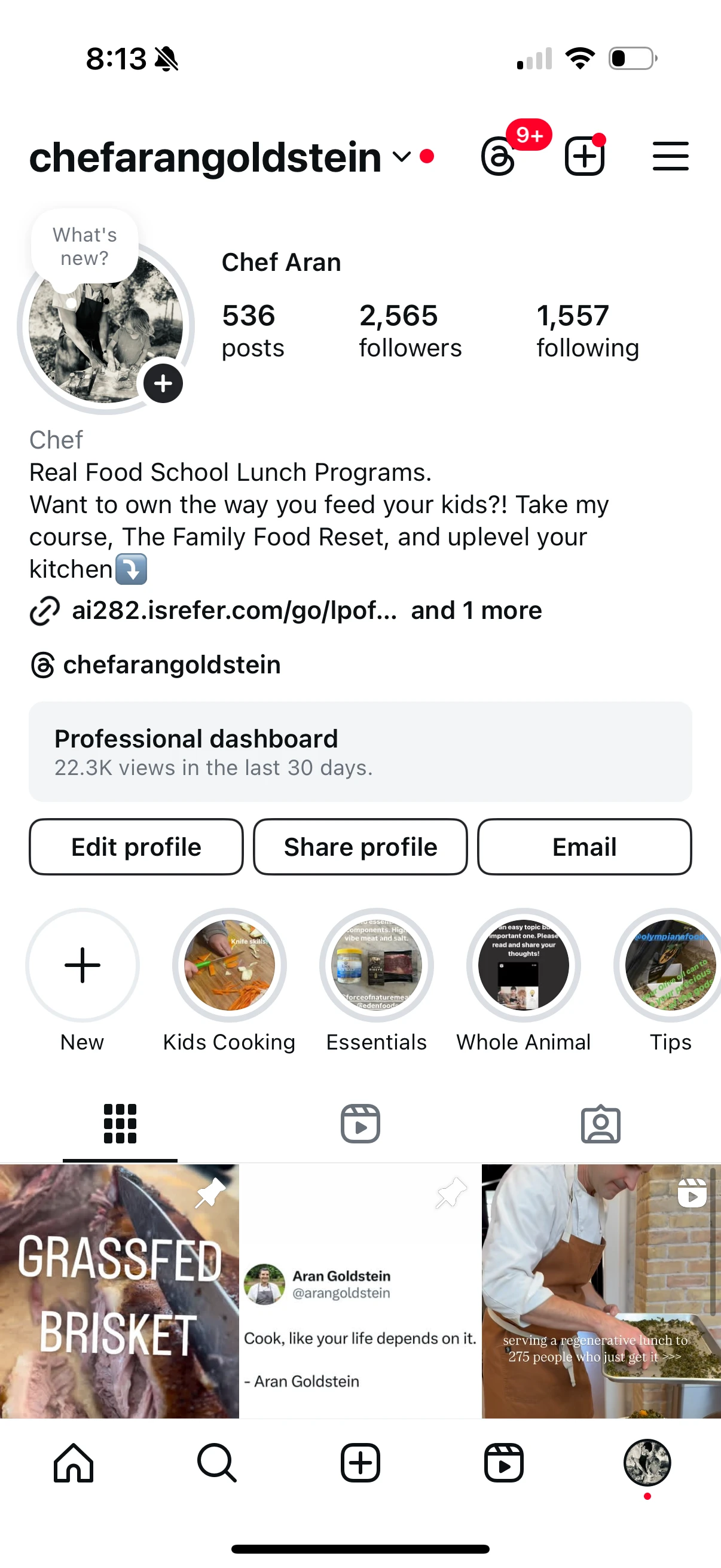 Aran Goldstein Instagram profile, before